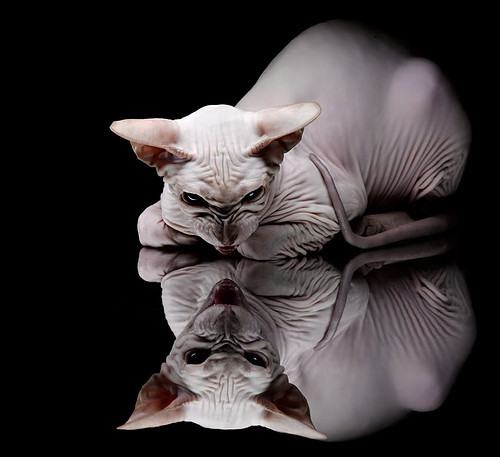 季后赛中“荣获”多场“最佳防守球员”头衔,被声称是“防守大师”!