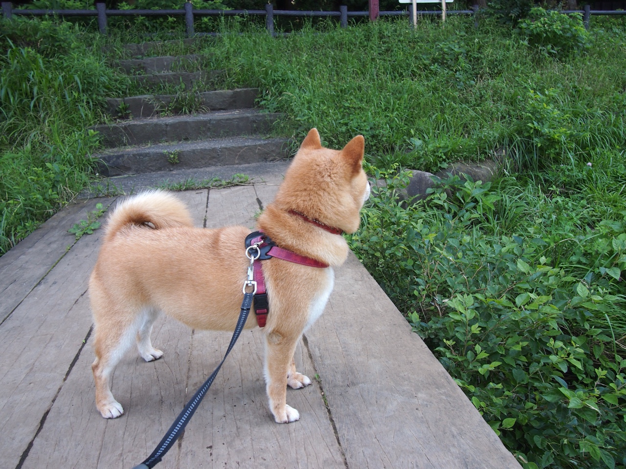 开云网页-中国男足在巴黎奥运会比赛中以2-1战胜葡萄牙，男足奥运会中国队